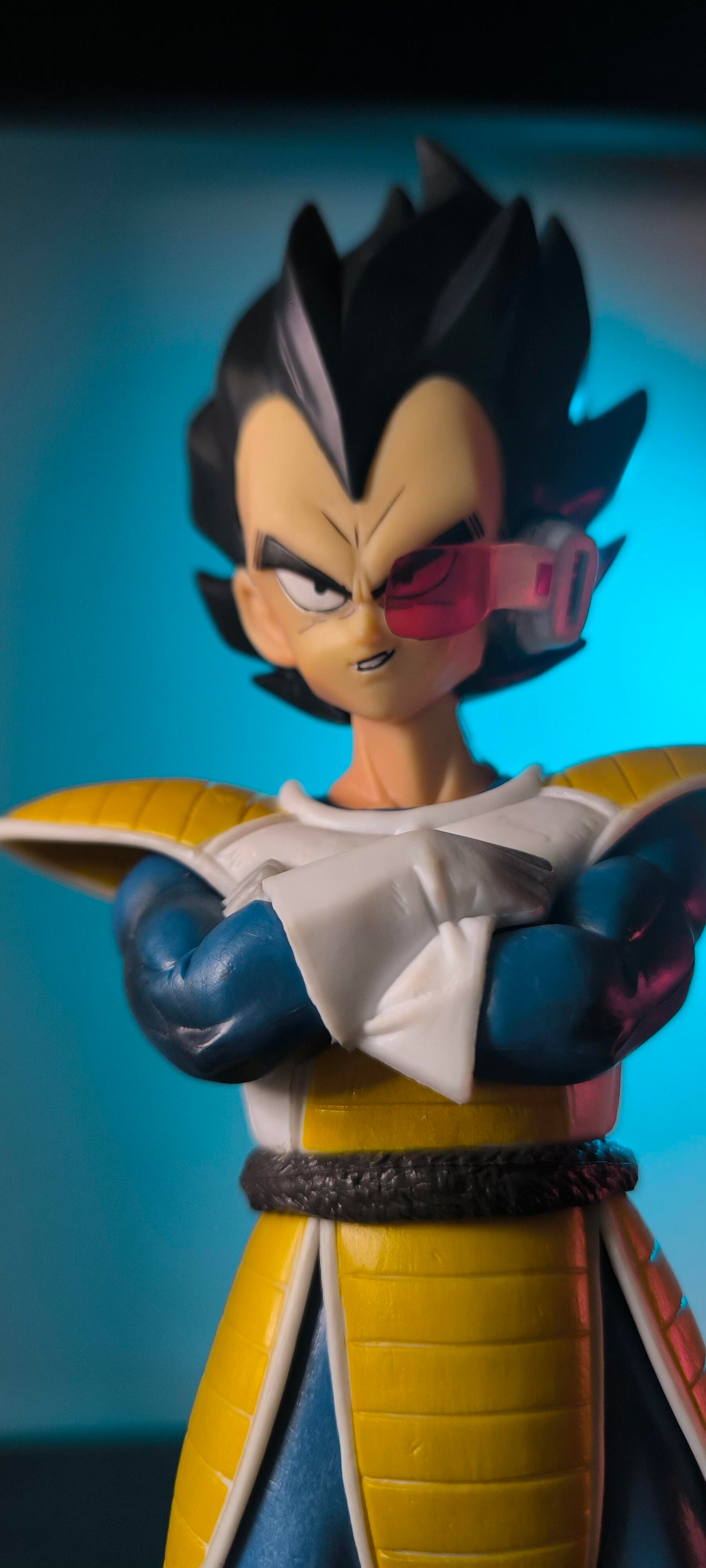 Figura Dragon Ball Z -Vegeta